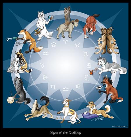 водолей собака гороскоп на 2016 год